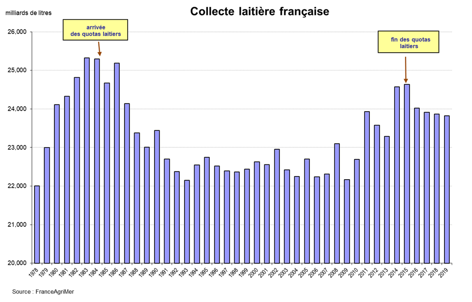 Le Bilan De L'année Laitière 2019 Et Les Perspectives Pour 2020